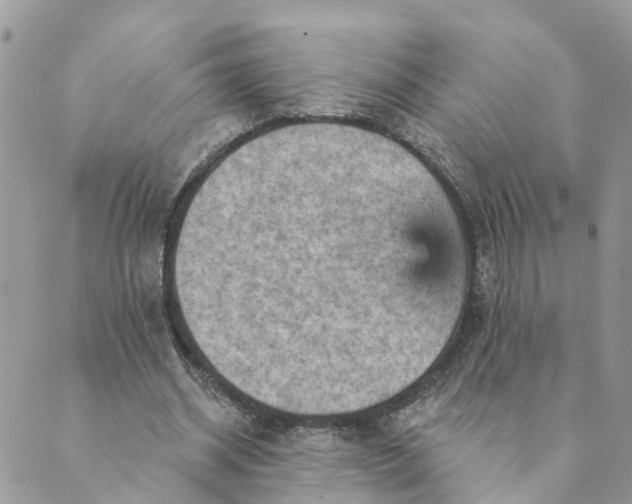 X0000089380534200707061141