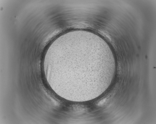 X0000089380535200707061141