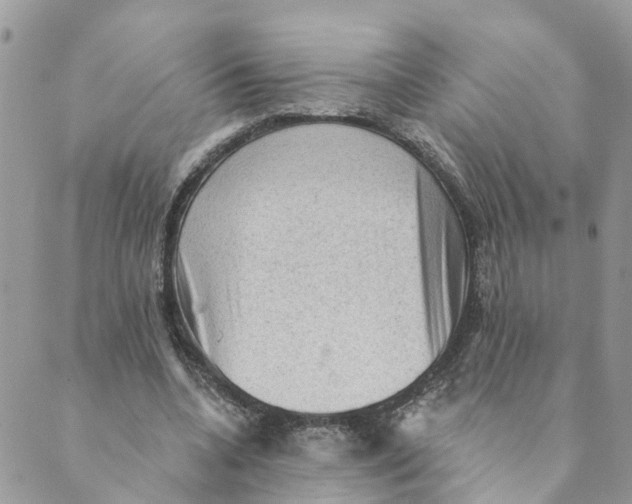 X0000089380536200707061141