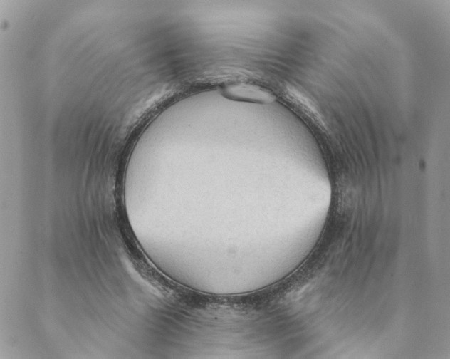 X0000089380538200707061141