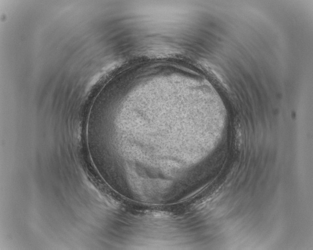 X0000089380539200707061141