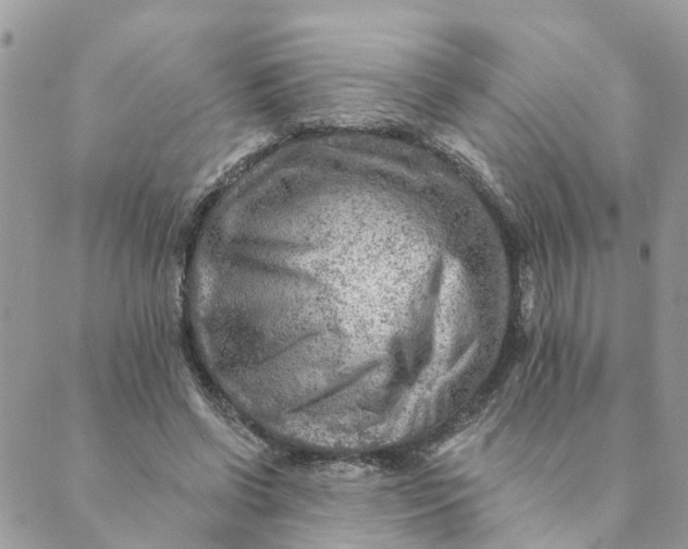 X0000089380542200707061141