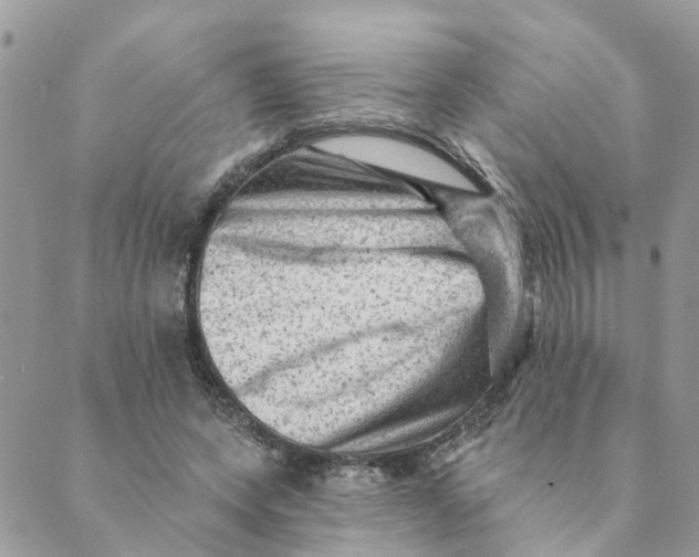 X0000089380543200707061141