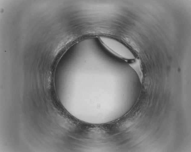 X0000089380544200707061141