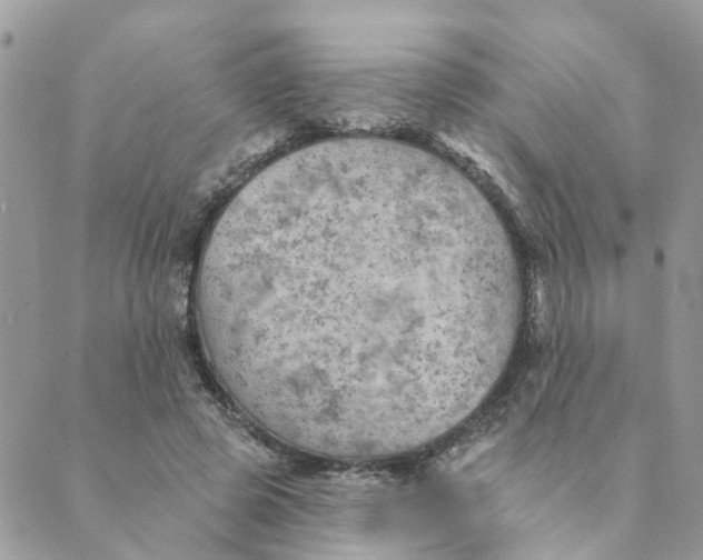 X0000089380545200707061141