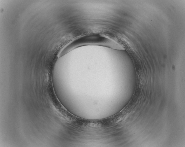 X0000089380546200707061141