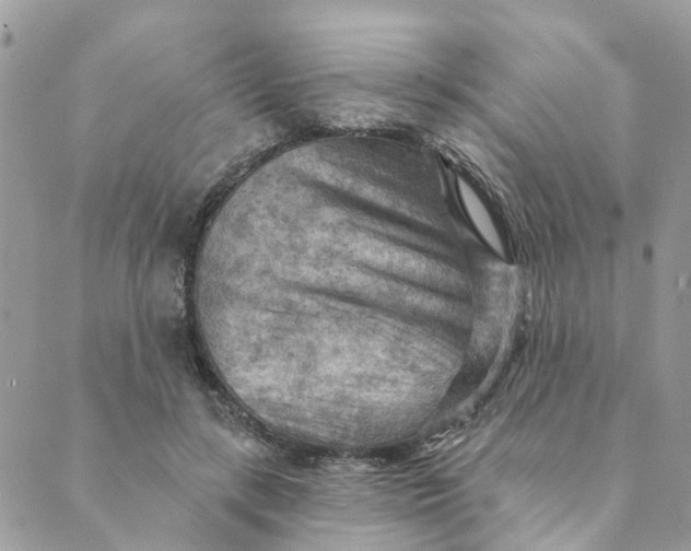 X0000089380547200707061141