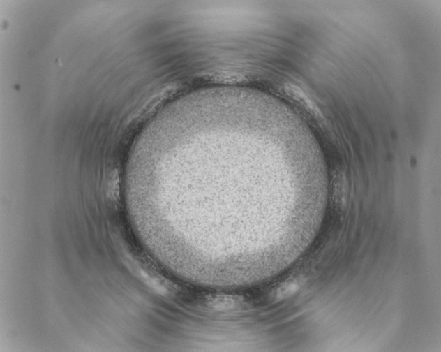 X0000089380549200707061141