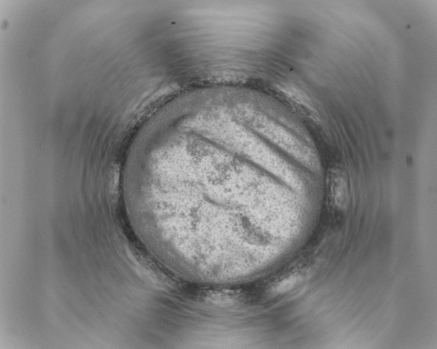 X0000089380550200707061141