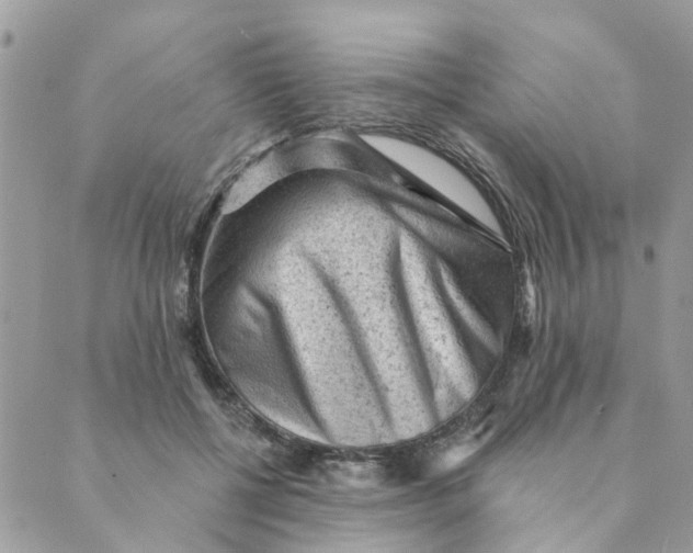 X0000089380552200707061141