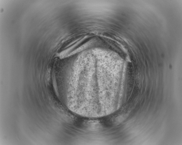 X0000089380554200707061142