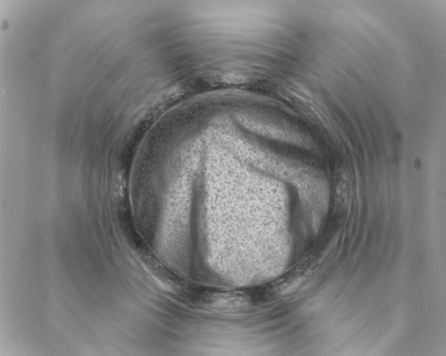 X0000089380555200707061142