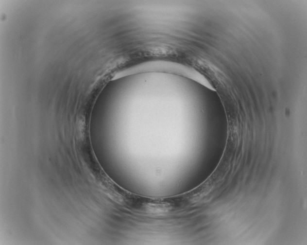 X0000089380556200707061142