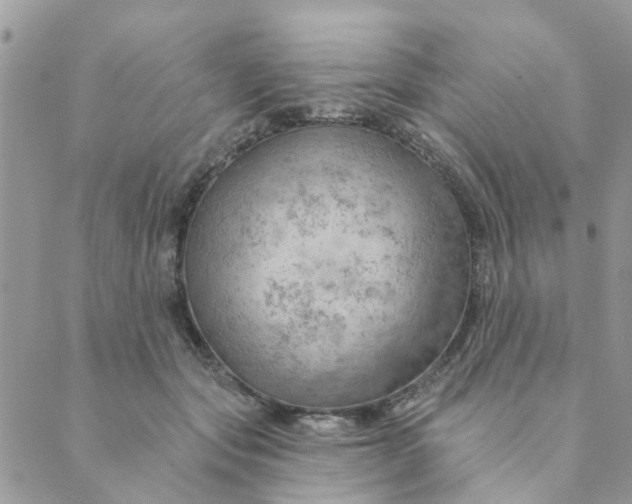 X0000089380557200707061142