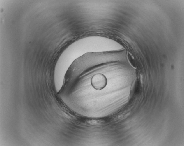 X0000089380558200707061142