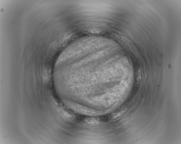 X0000089380559200707061142