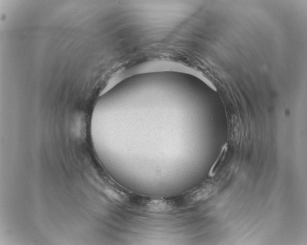 X0000089380562200707061142