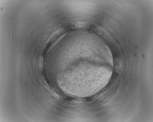 X0000089380563200707061142