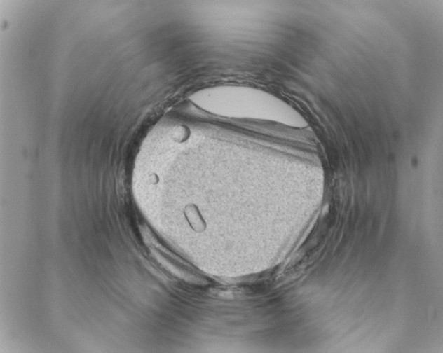 X0000089380564200707061142