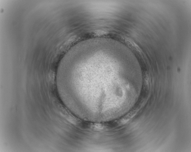 X0000089380565200707061142