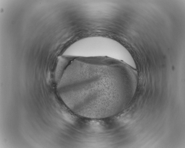 X0000089380566200707061142