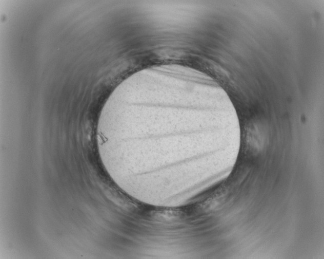 X0000089380567200707061142