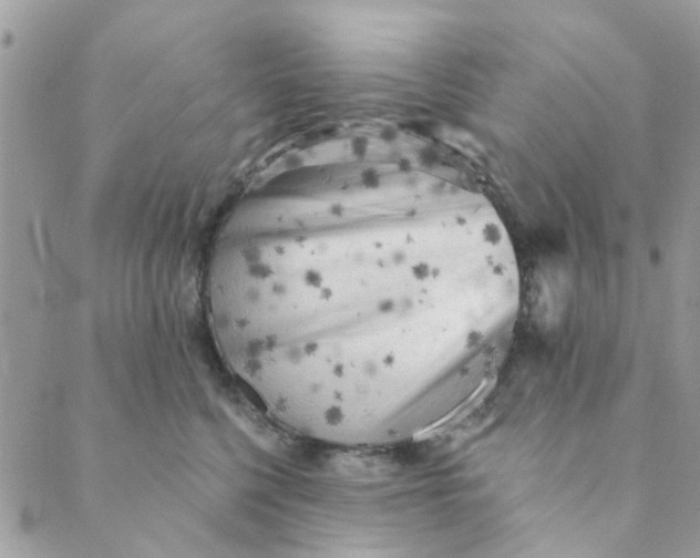 X0000089380568200707061142