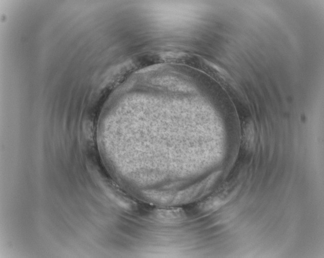 X0000089380571200707061142