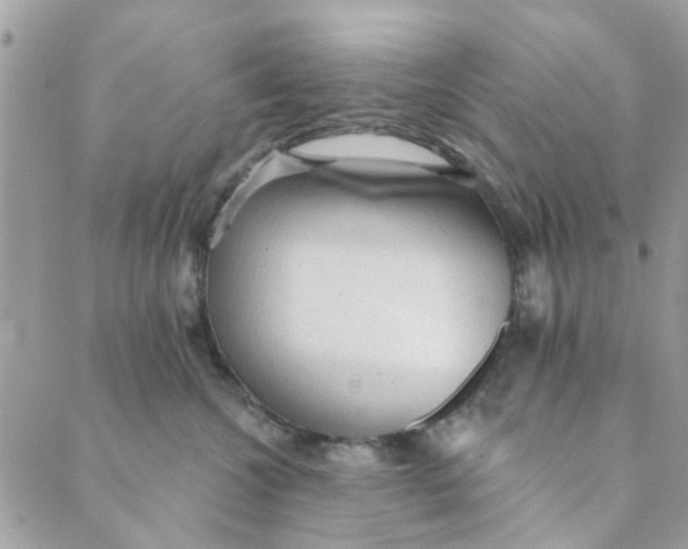 X0000089380572200707061142