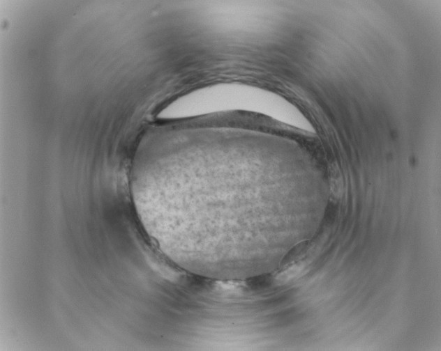 X0000089380573200707061142