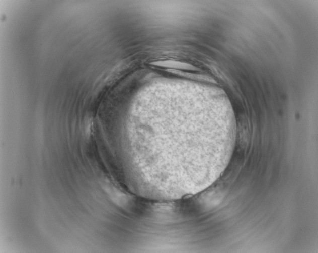 X0000089380574200707061142