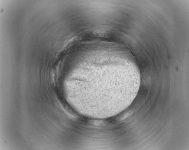 X0000089380575200707061142