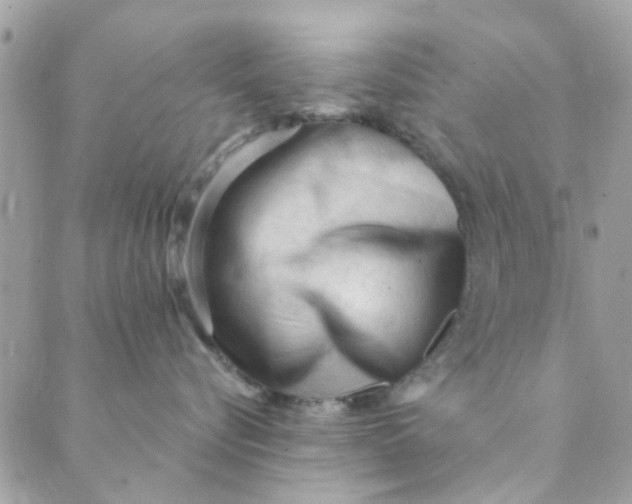 X0000089380576200707061142