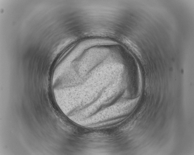 X0000089380578200707061141