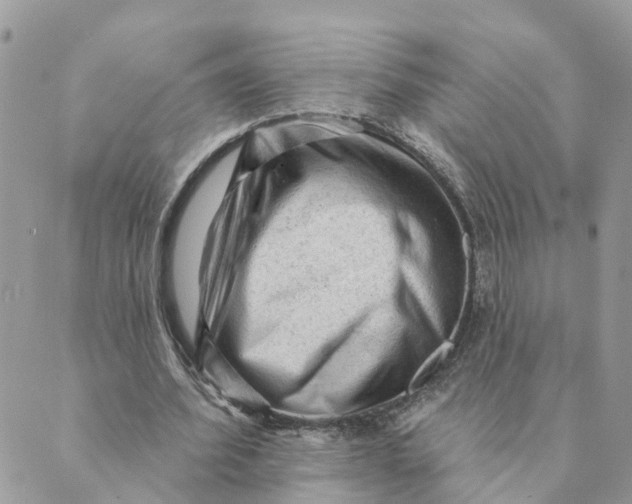 X0000089380580200707061141