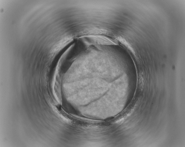 X0000089380581200707061141