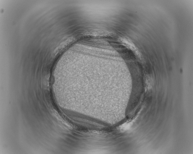 X0000089380585200707061141