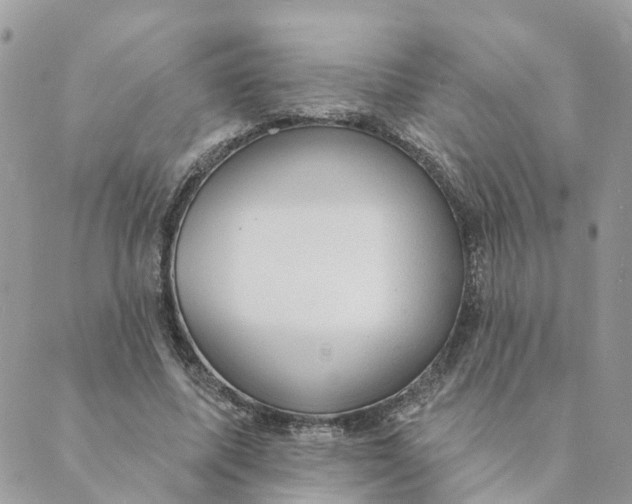 X0000089380587200707061141