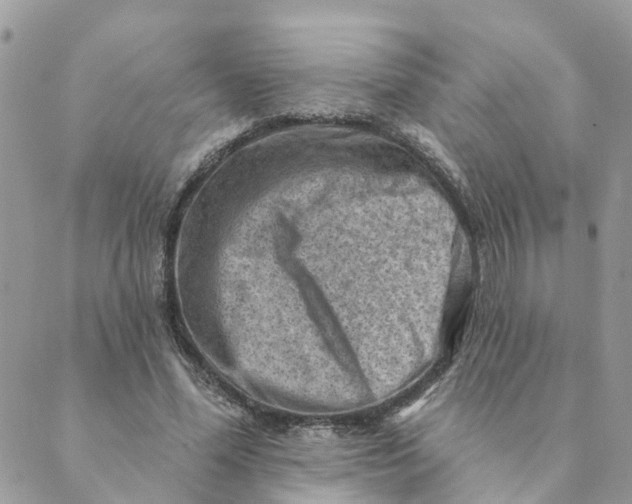 X0000089380588200707061141