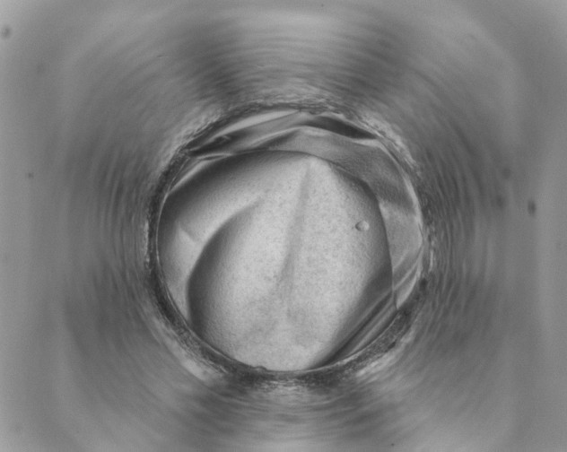 X0000089380589200707061141