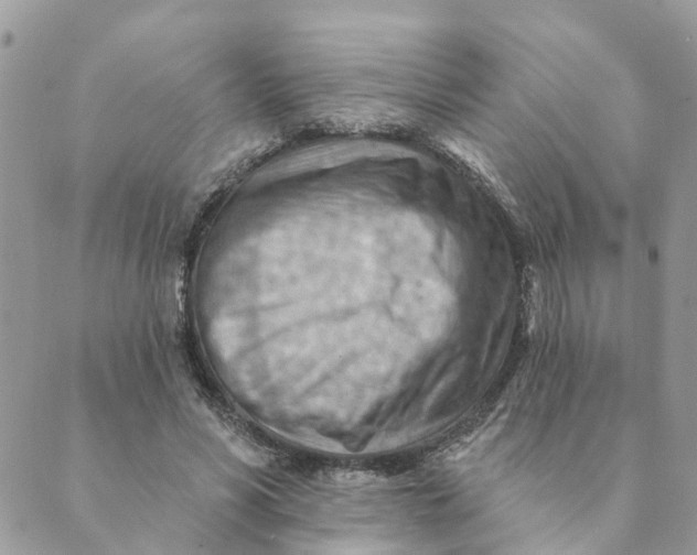 X0000089380590200707061141