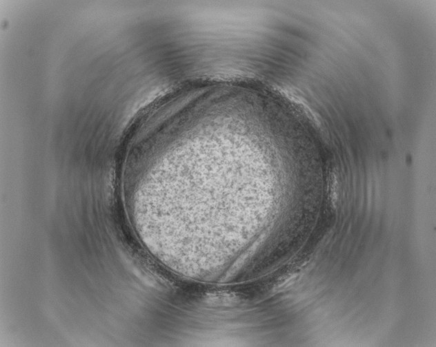 X0000089380591200707061141