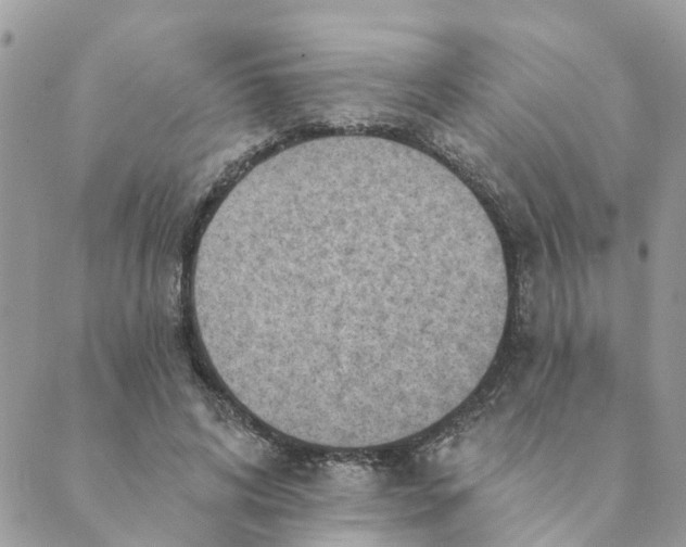 X0000089380592200707061141