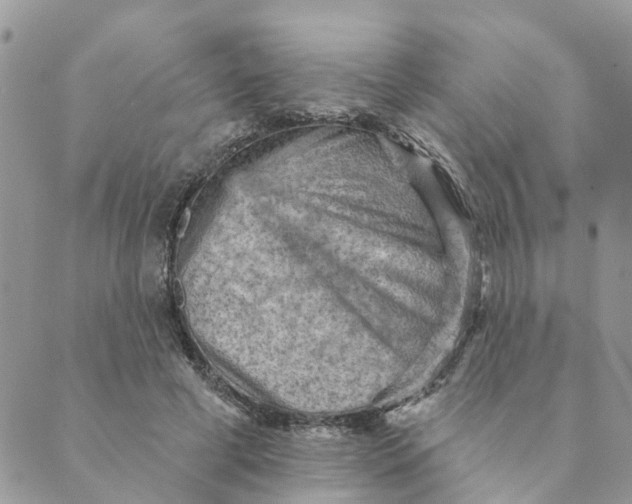 X0000089380593200707061141