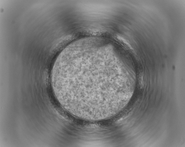 X0000089380594200707061141