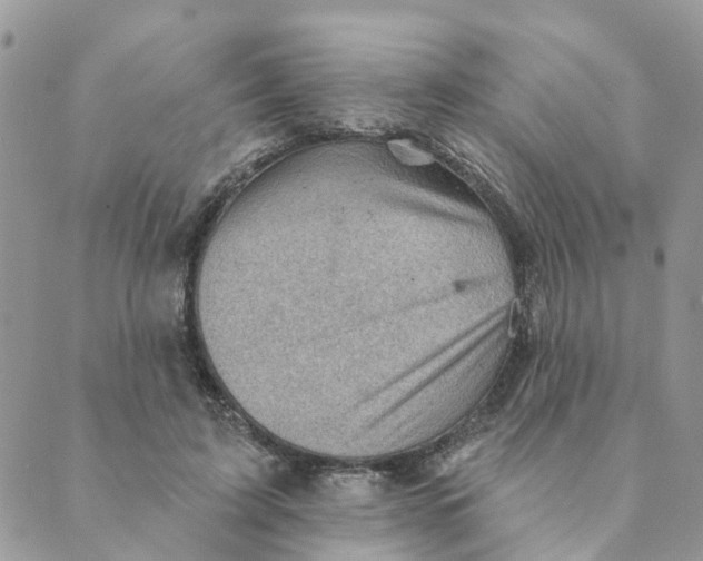 X0000089380595200707061141