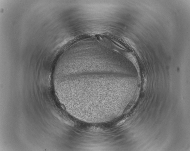 X0000089380596200707061141