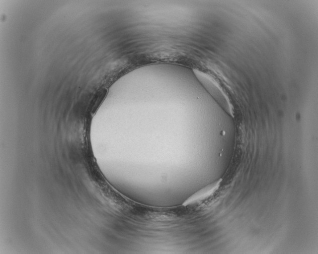 X0000089380597200707061141