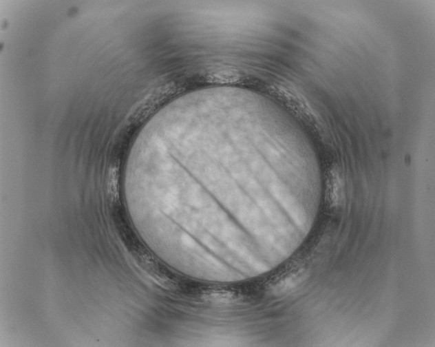 X0000089380598200707061141