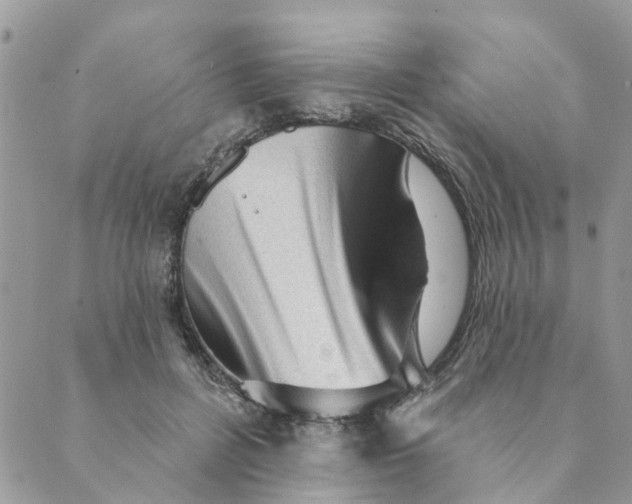 X0000089380600200707061141